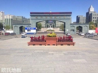 包頭回民中學運動木地板案例