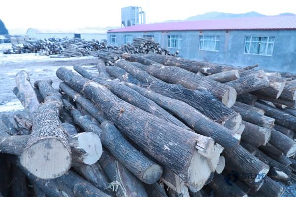 用哪種質量好運動體育木地板