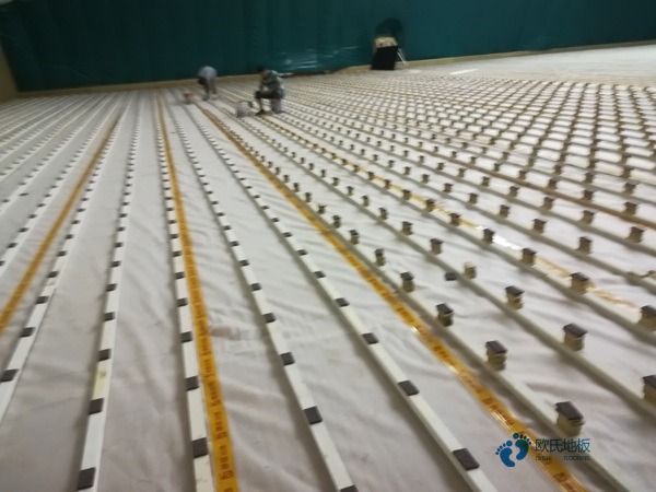 運動籃球木地板哪家便宜