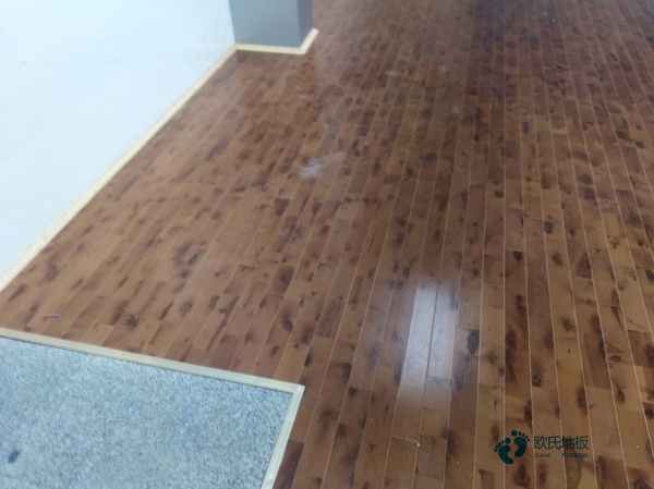 松木運動場館地板保養知識