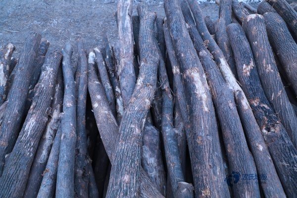 尋求運動館木地板牌子