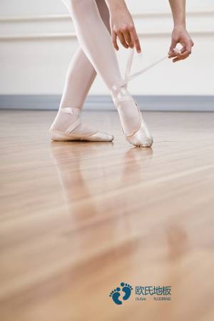 松木體育場木地板保養