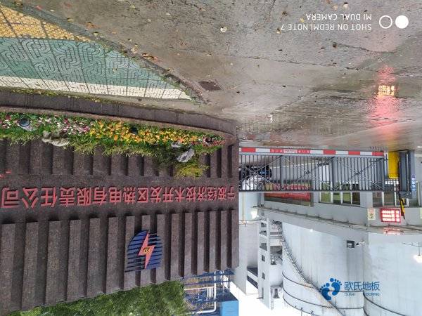 楓木體育場地地板如何保養