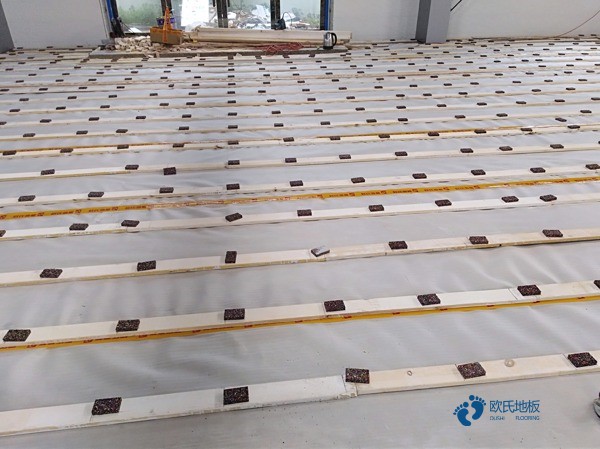 楓木體育場館木地板保養