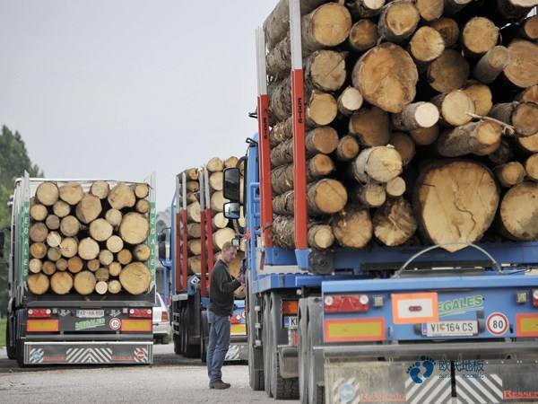 楓木運動籃球地板怎樣保養