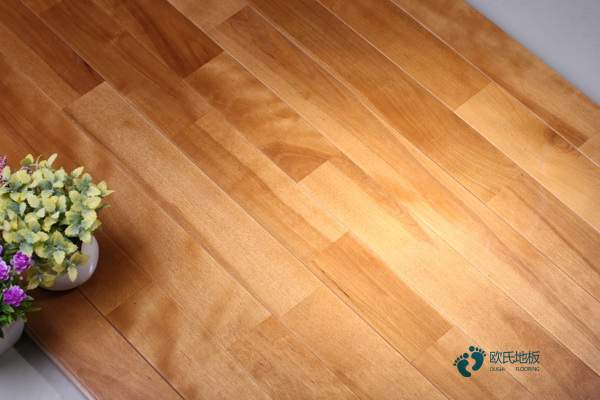 楓樺木籃球木地板保養