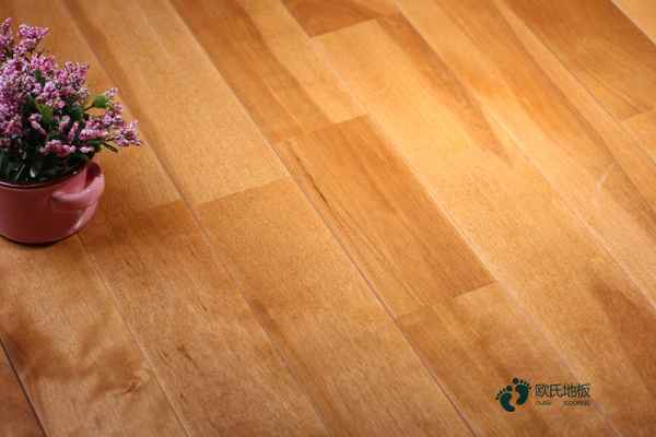 楓樺木籃球場館木地板保養方法