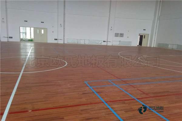 學校籃球場地木地板木紋型