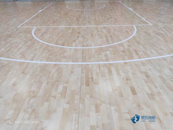 學校籃球場館木地板圖解