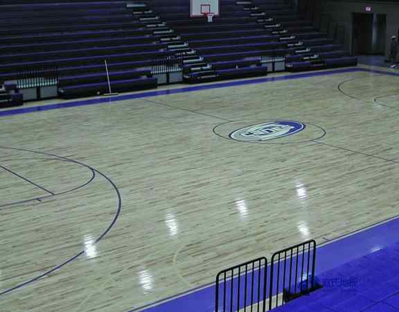 體育籃球木地板價位