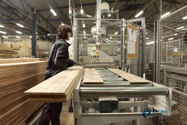 質量好運動型木地板施工隊