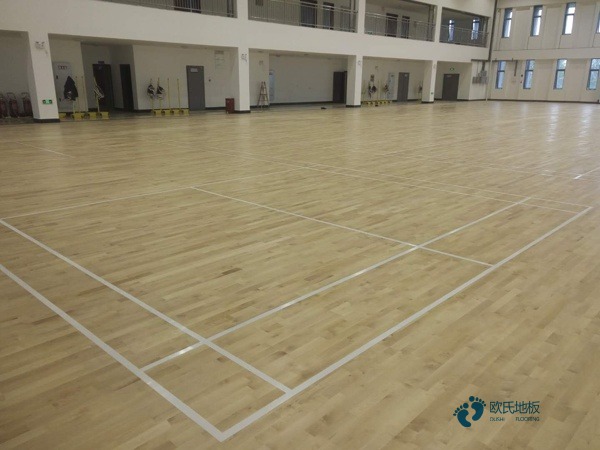 學校籃球場木地板樣品