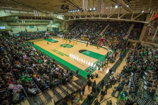 行業(yè)籃球木地板價(jià)位