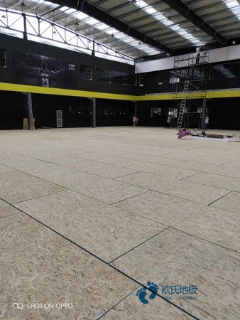 那有體育籃球木地板多錢一平