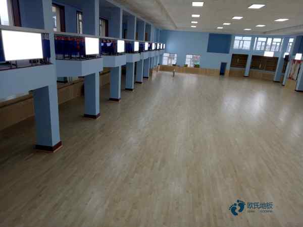 批發體育籃球木地板價錢