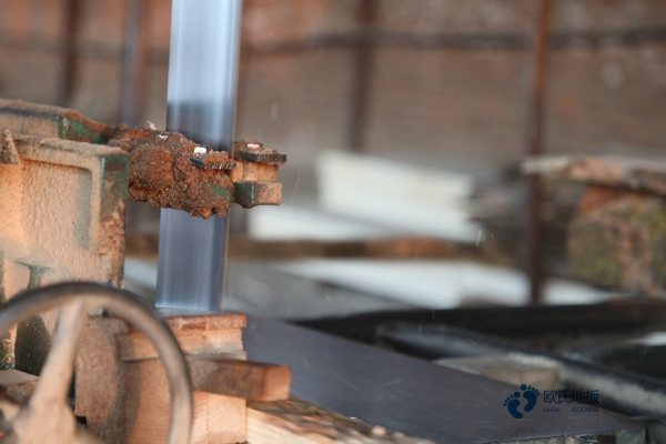 哪有籃球木地板報價