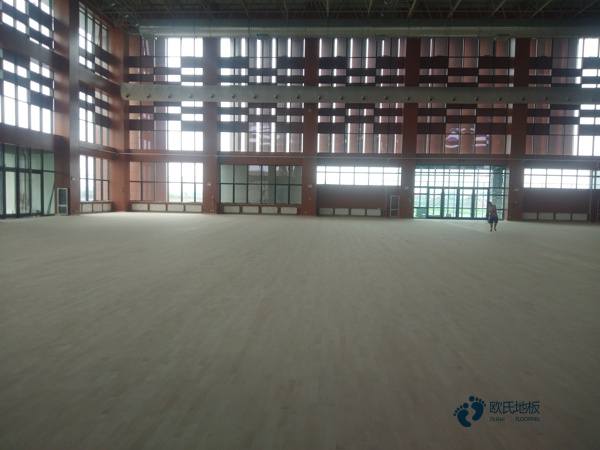 那有籃球木地板價格表