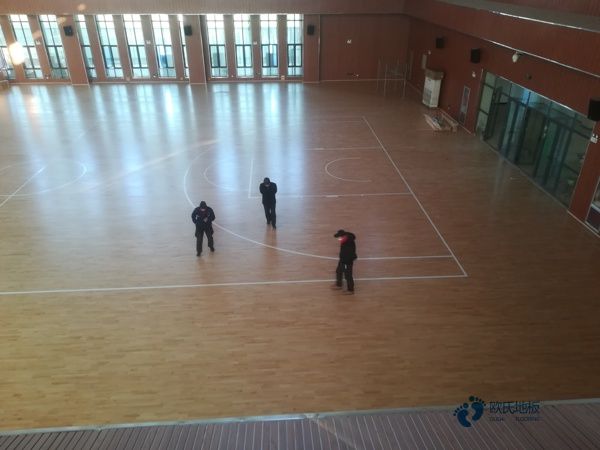 體育運動木地板電話2