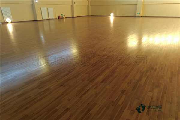 籃球體育木地板劃線1