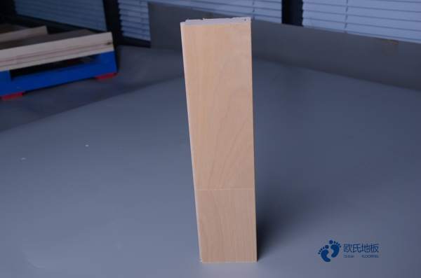 學(xué)校體育木地板2