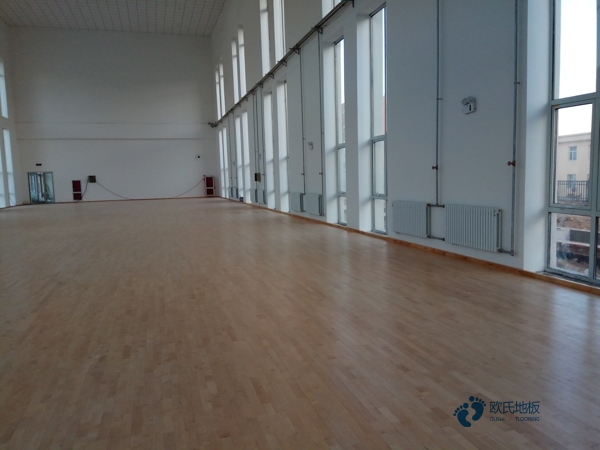 專(zhuān)用運(yùn)動(dòng)場(chǎng)館木地板1