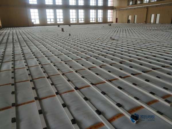 體育場地木地板畫線3