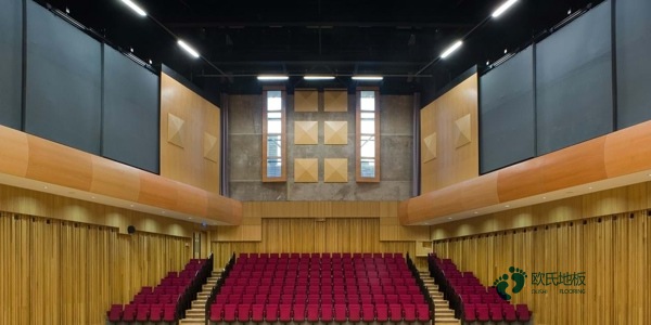 國標運動場館木地板2