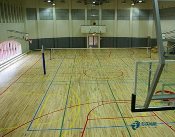 大學運動場木地板2