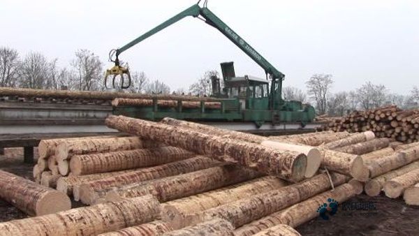 那有體育運(yùn)動(dòng)木地板防潮