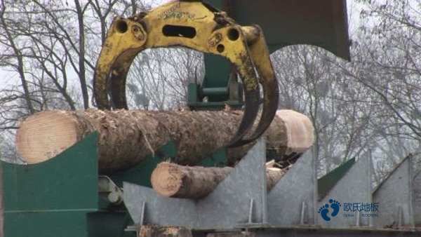 那有體育運(yùn)動(dòng)木地板防潮