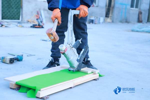 室內運動木地板場地