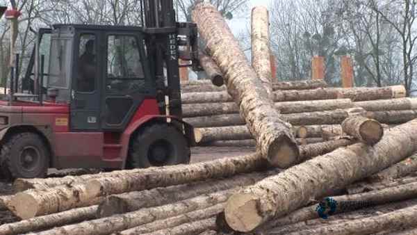 購(gòu)買體育籃球木地板價(jià)格表