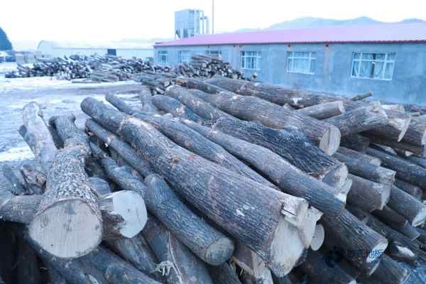 那有運動木地板防火嗎