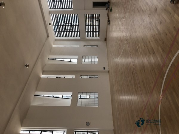 運(yùn)動場館木地板何處買3