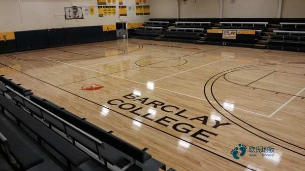 常用運動場地板哪個牌子比較好3