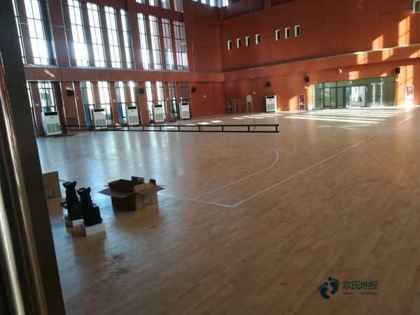高品質(zhì)籃球木地板價格行情